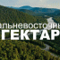 «Дальневосточный гектар» на Чукотке: более 1300 семей получили землю для ведения хозяйства и строительства - Провиденский ГО
