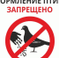 О соблюдении санитарных норм и содержании территории - Провиденский ГО